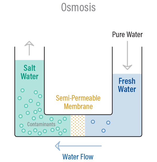 Desalination - Osmosis Graph