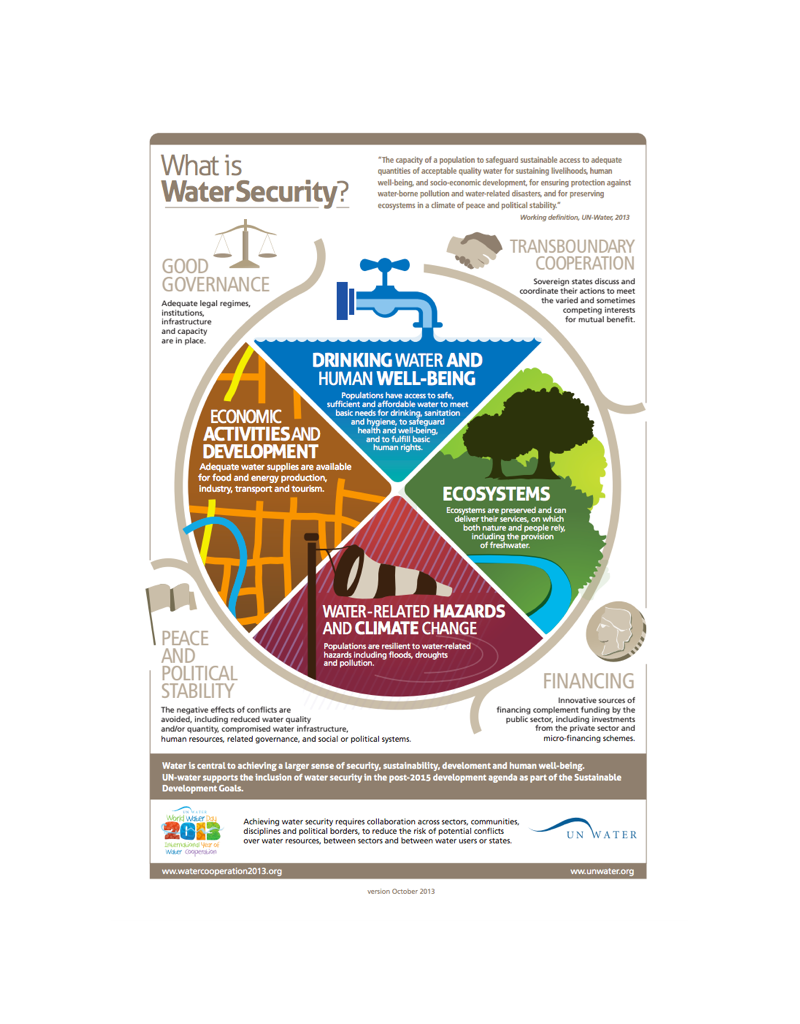 water security essential guide