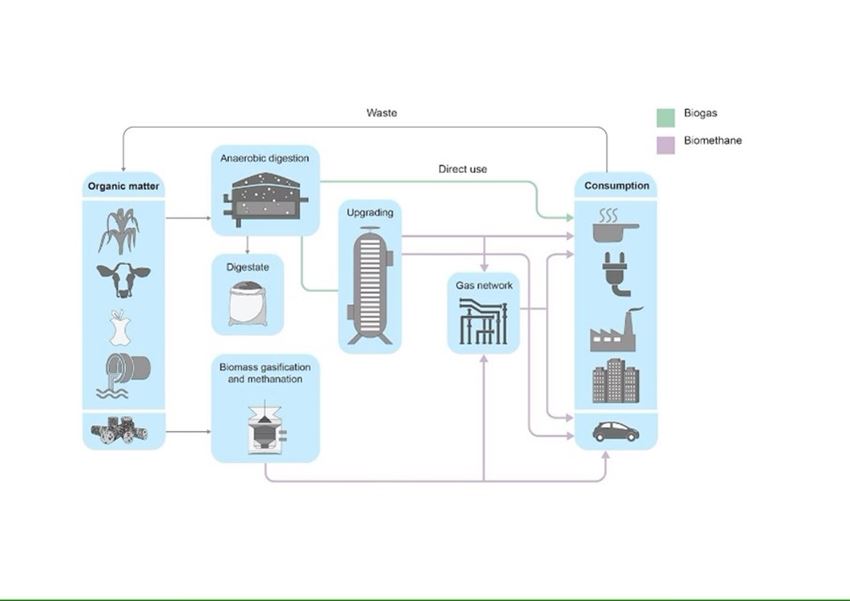 Where is Biogas used for?