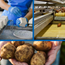 Driving water technology innovations in the food and beverage industry