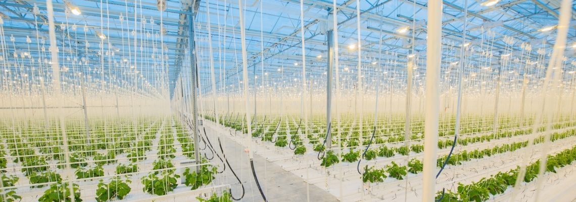 Trends in greenhouse design, discussed by four speakers