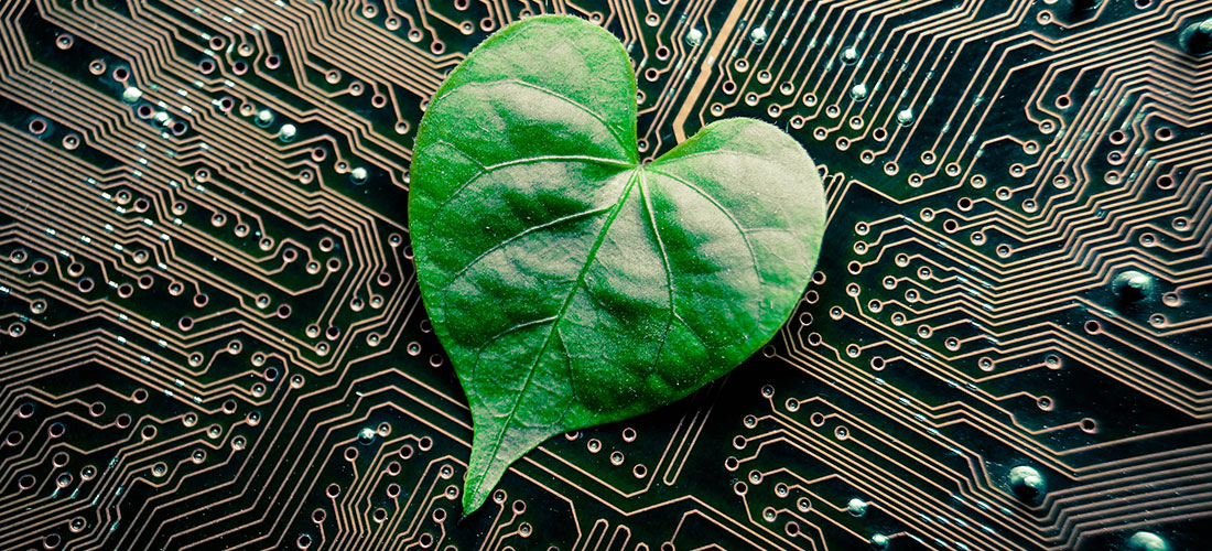 researchers-test-the-use-of-smart-leaf-sensors