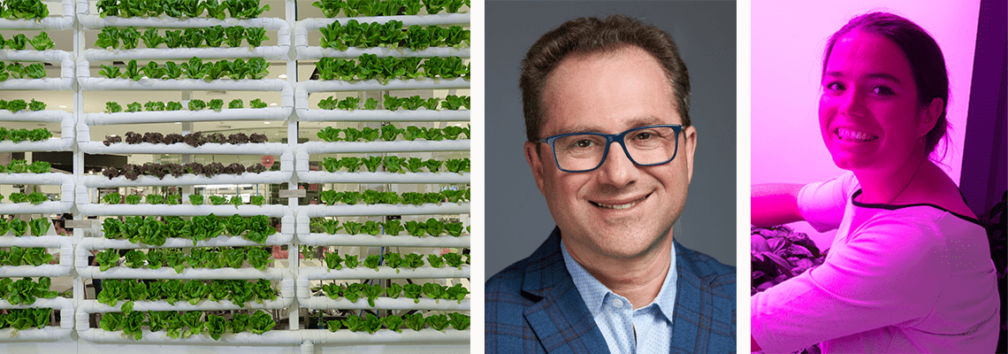 VIDEO: How to optimise plant growth in a vertical farm