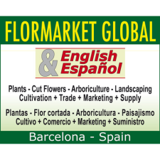 Logo Flormarket Global