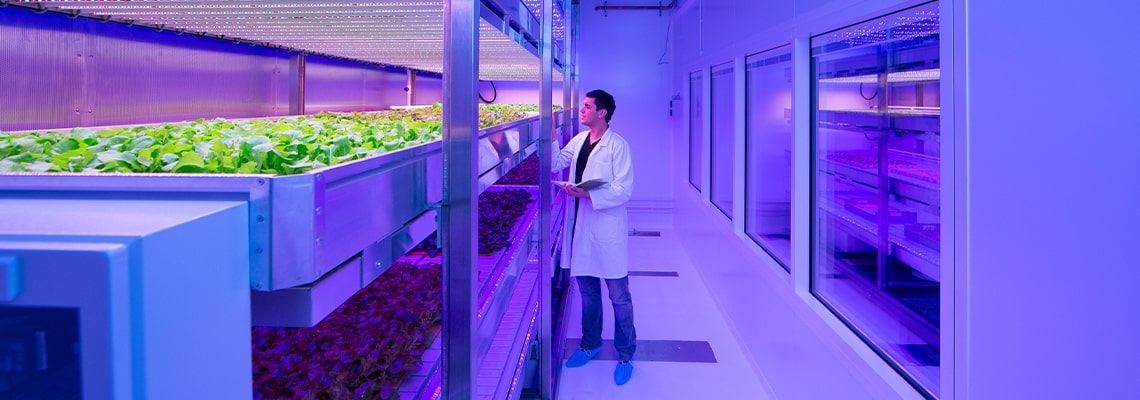 New pavilion at GreenTech Amsterdam 2016 highlights Vertical Farming