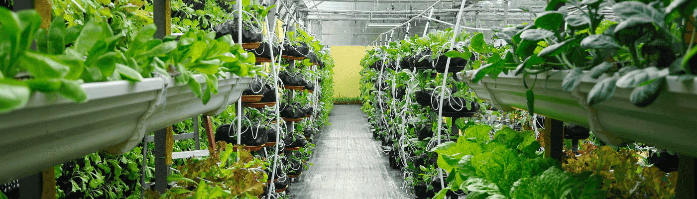 greentech-2019-addresses-crop-production-challenges