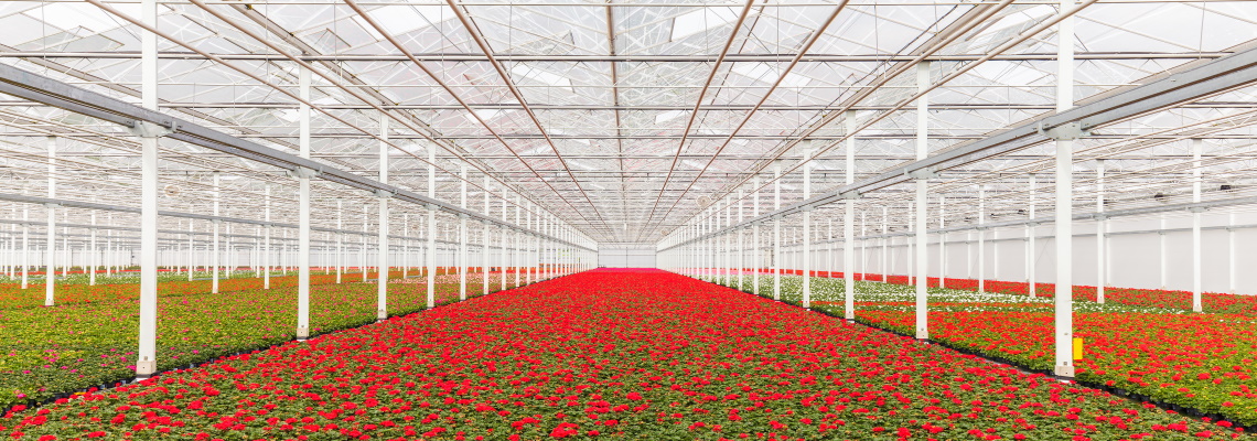 The earth in a greenhouse, Labour scarcity and Geothermal energy