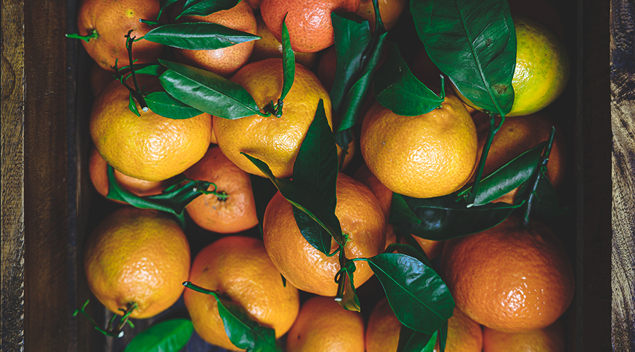 Horecava - foodfotografie mag leven sinaasappels