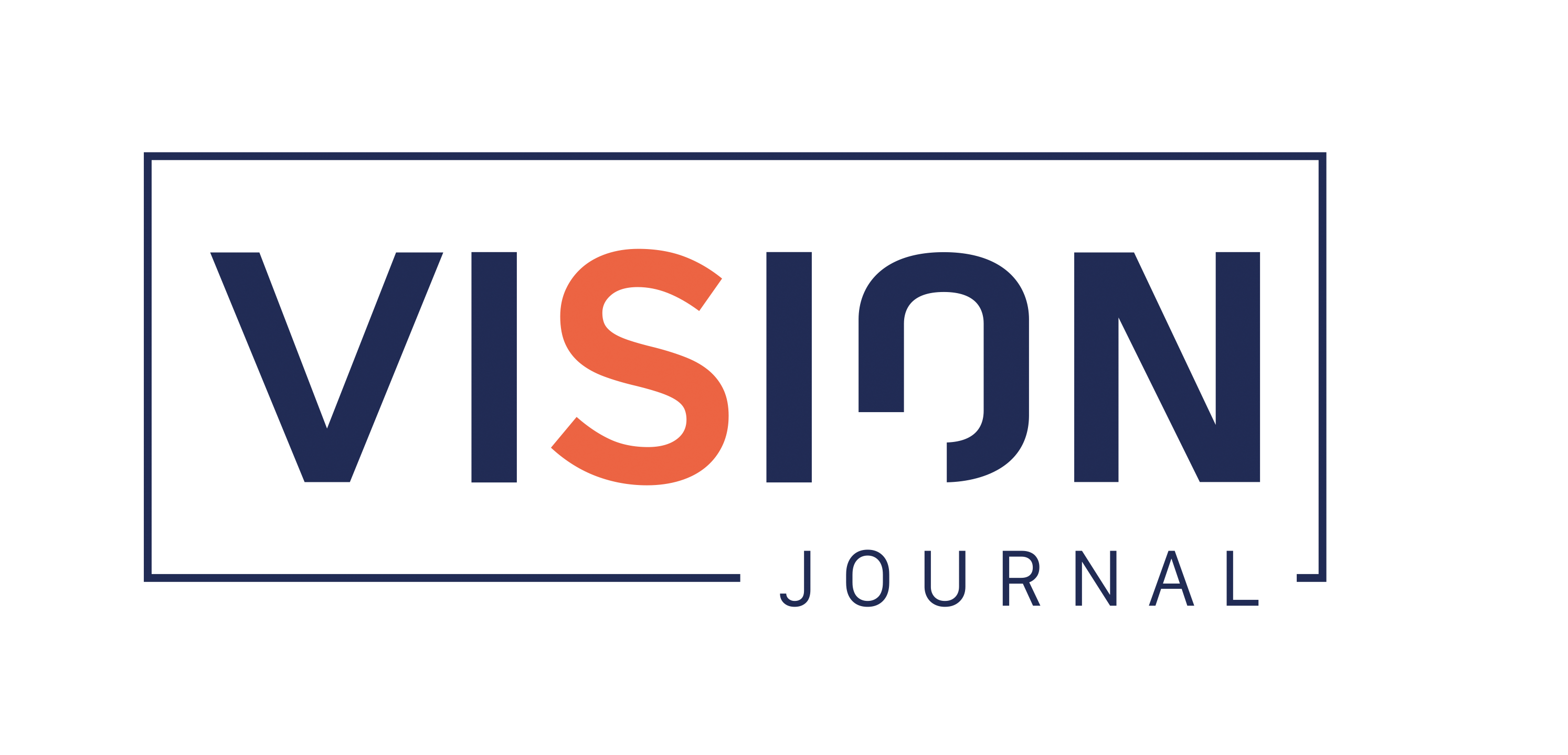 Vision Journal