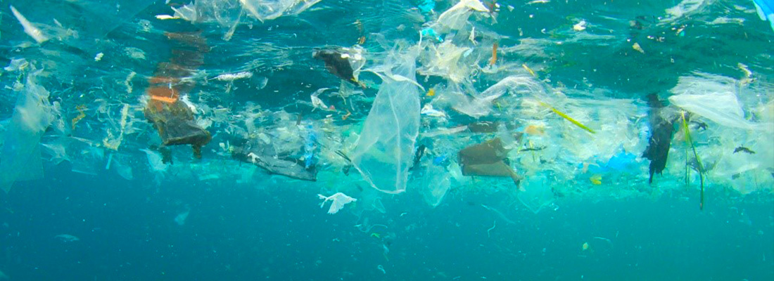 Using citizen science to tackle the sources of plastic pollution