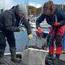 Marinas to the rescue of wild oysters